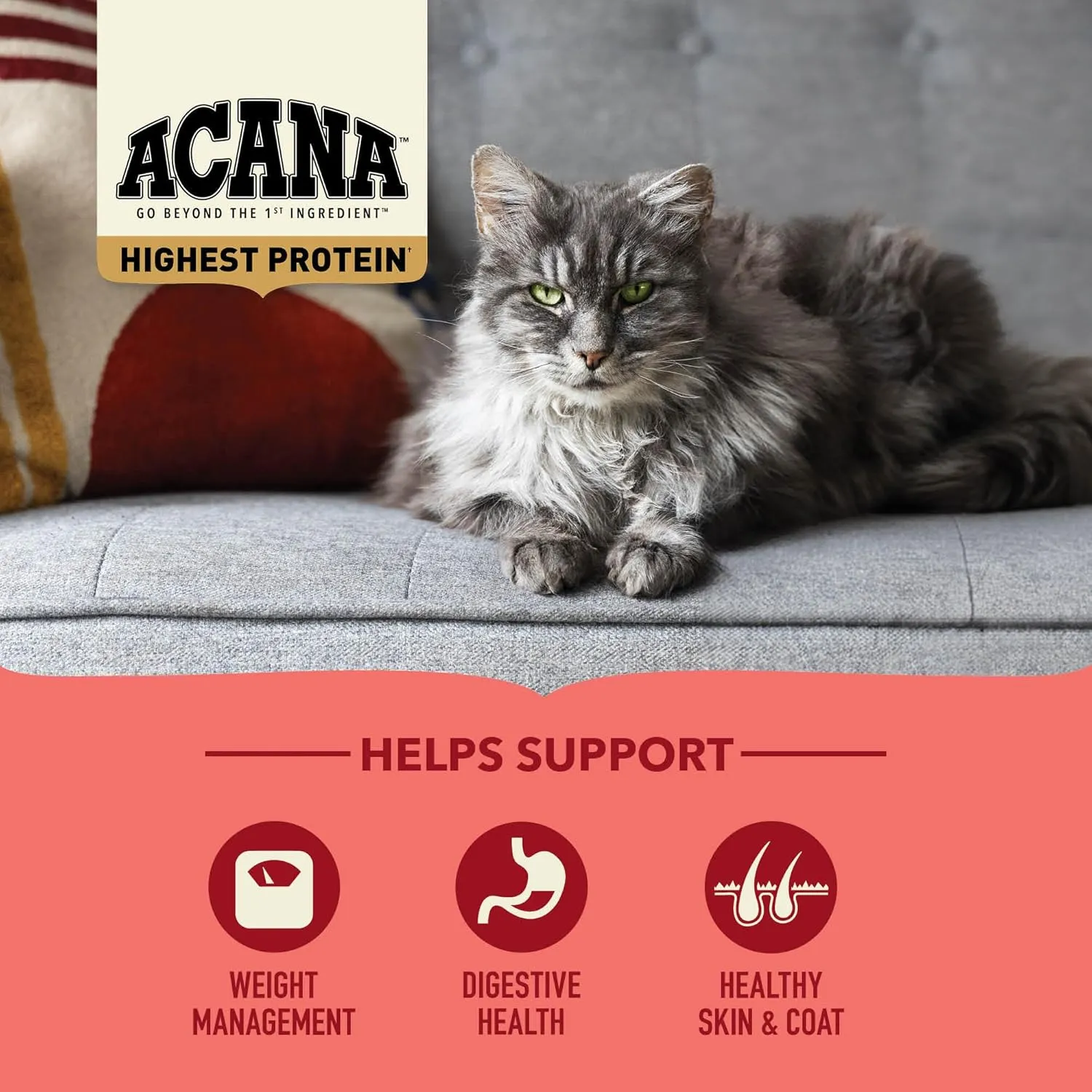 ACANA Indoor Cat 4LB