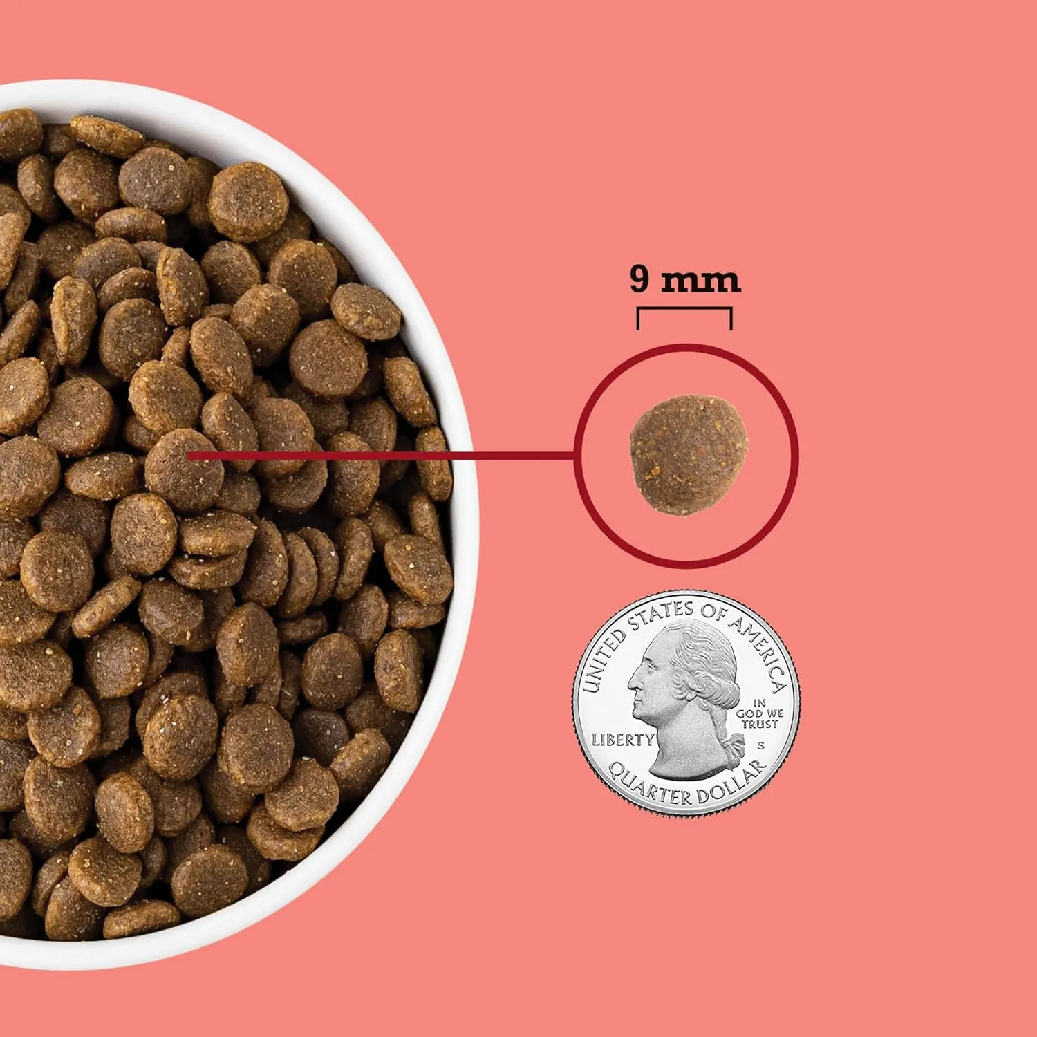ACANA Indoor Cat 4LB