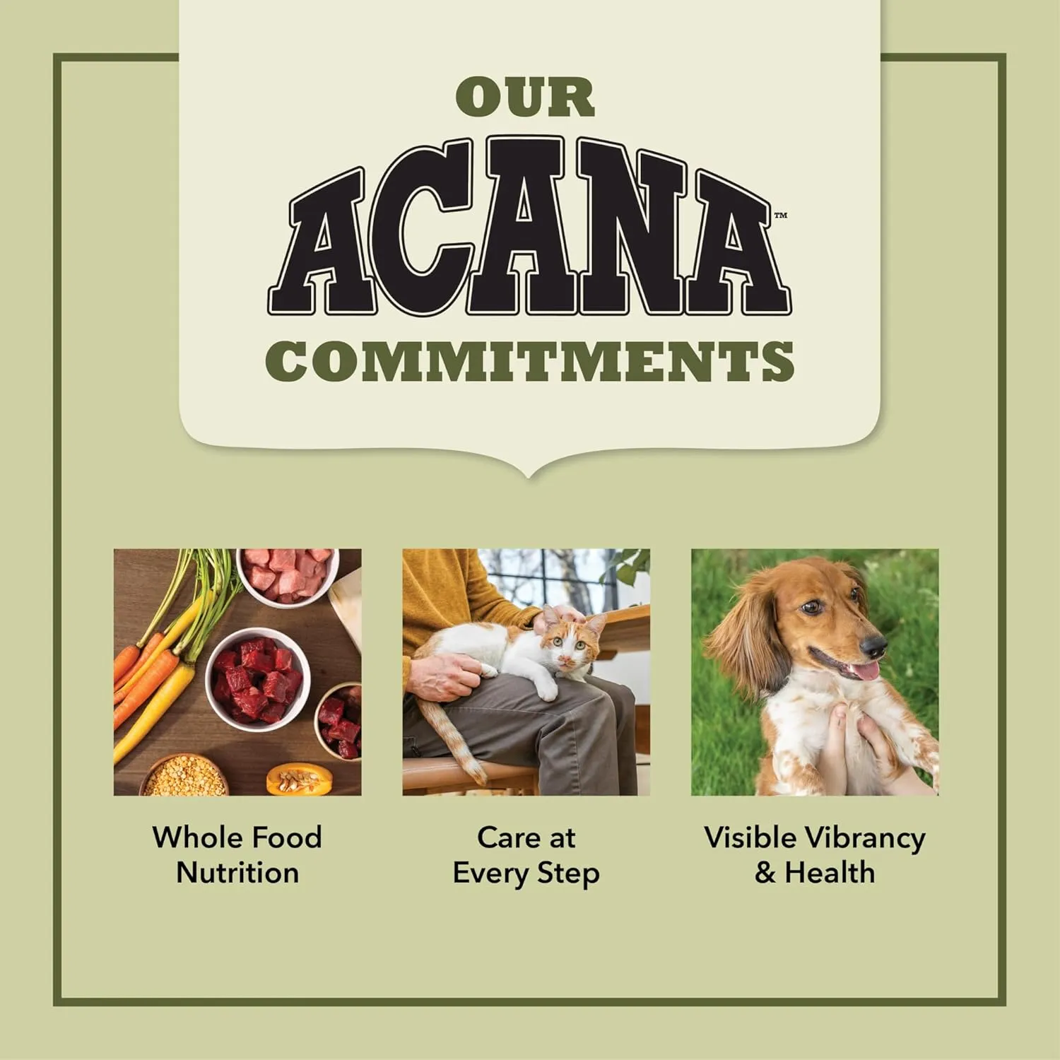 ACANA Indoor Cat 4LB