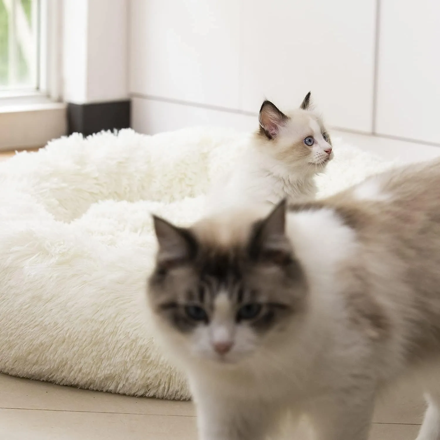Anti Anxiety Round Fluffy Plush Faux Fur Warm Washable Dog Bed & Cat Bed, Original Bed for Small Medium Large Pets,Used to Relieve Joints and Improve Sleep20"/24"/27'' (20", White)