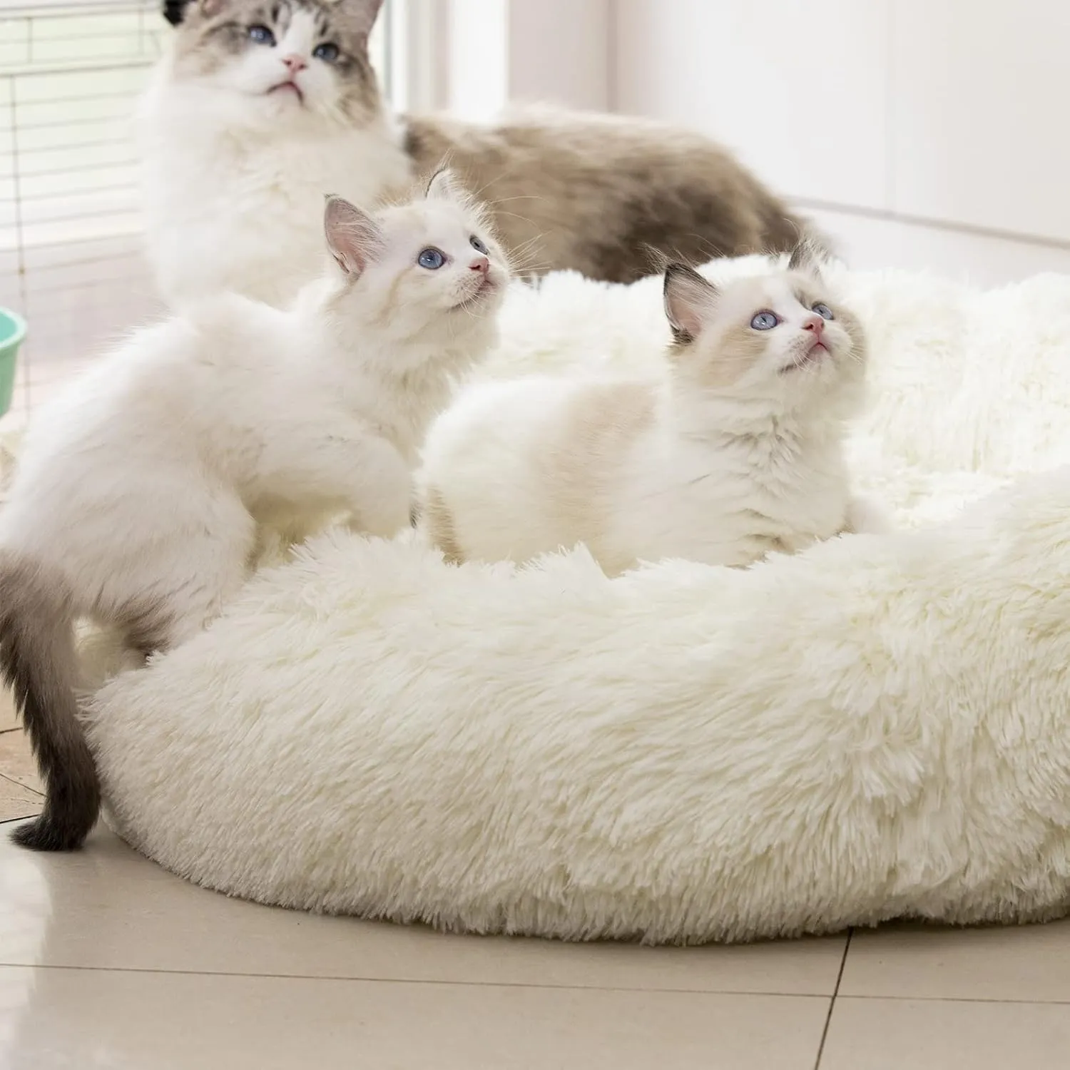 Anti Anxiety Round Fluffy Plush Faux Fur Warm Washable Dog Bed & Cat Bed, Original Bed for Small Medium Large Pets,Used to Relieve Joints and Improve Sleep20"/24"/27'' (20", White)