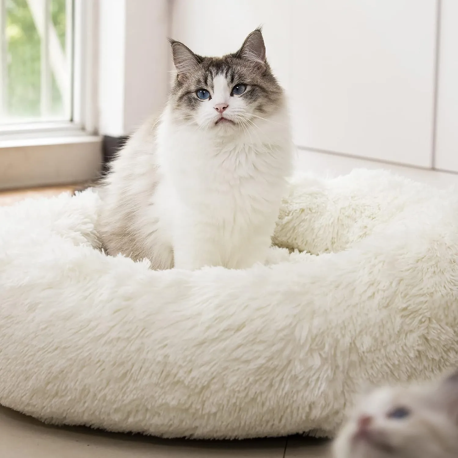 Anti Anxiety Round Fluffy Plush Faux Fur Warm Washable Dog Bed & Cat Bed, Original Bed for Small Medium Large Pets,Used to Relieve Joints and Improve Sleep20"/24"/27'' (20", White)