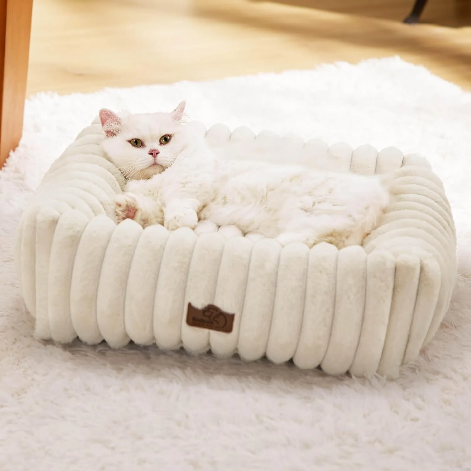 Bedsure Cute Dog Bed for Small Dogs & Cats - Washable Furry Cat Beds, Rectangle Orthopedic Corduroy Fleece Puppy Beds with Removable Zipper Cover, 20x19x6inches, Cream