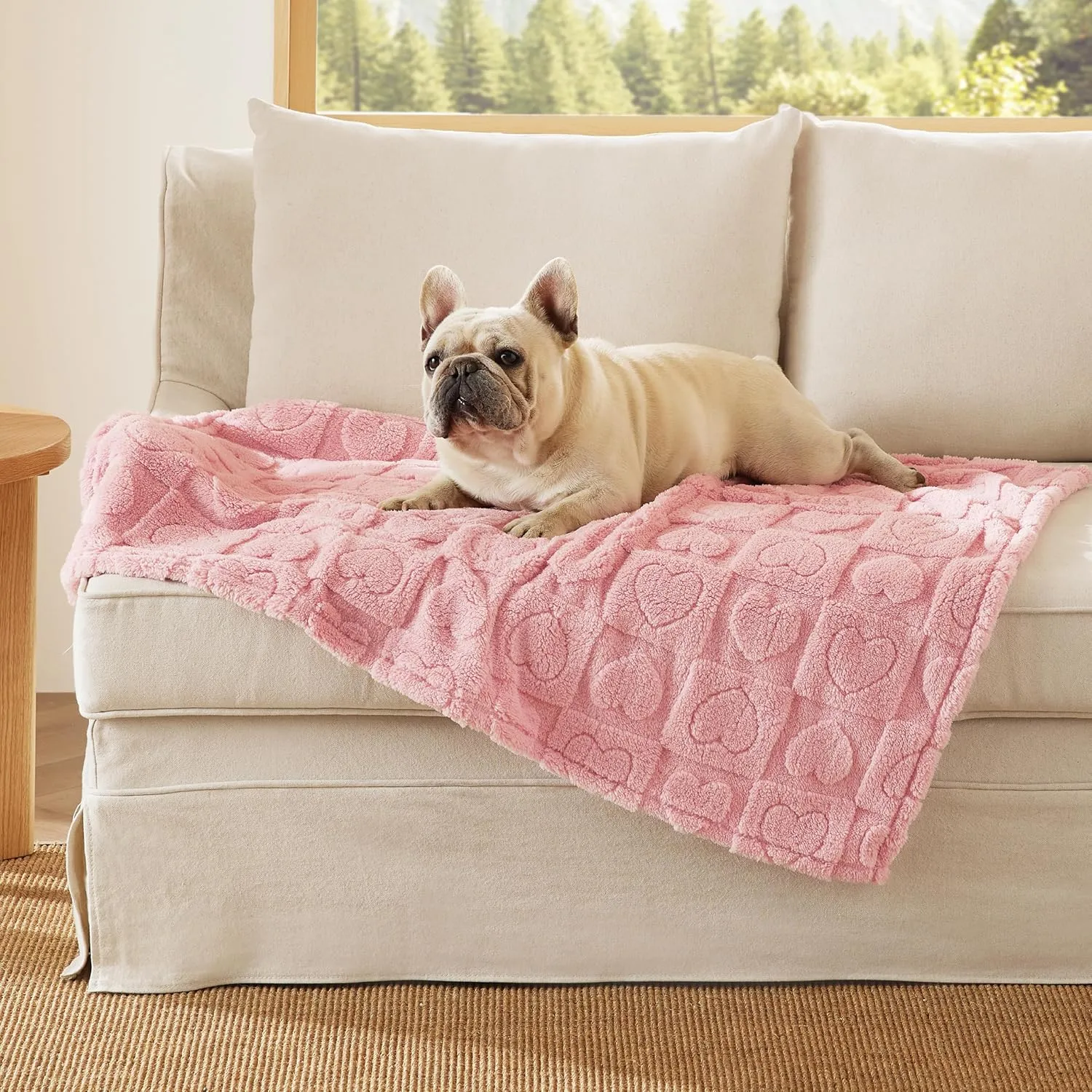 Bedsure Dog Blanket for Medium Dogs Washable - Fluffy Fuzzy Puppy Cat Blanket with Premium 300GSM Coral Fleece Soft for Pet Kitten Doggy, Pink, 30x40IN