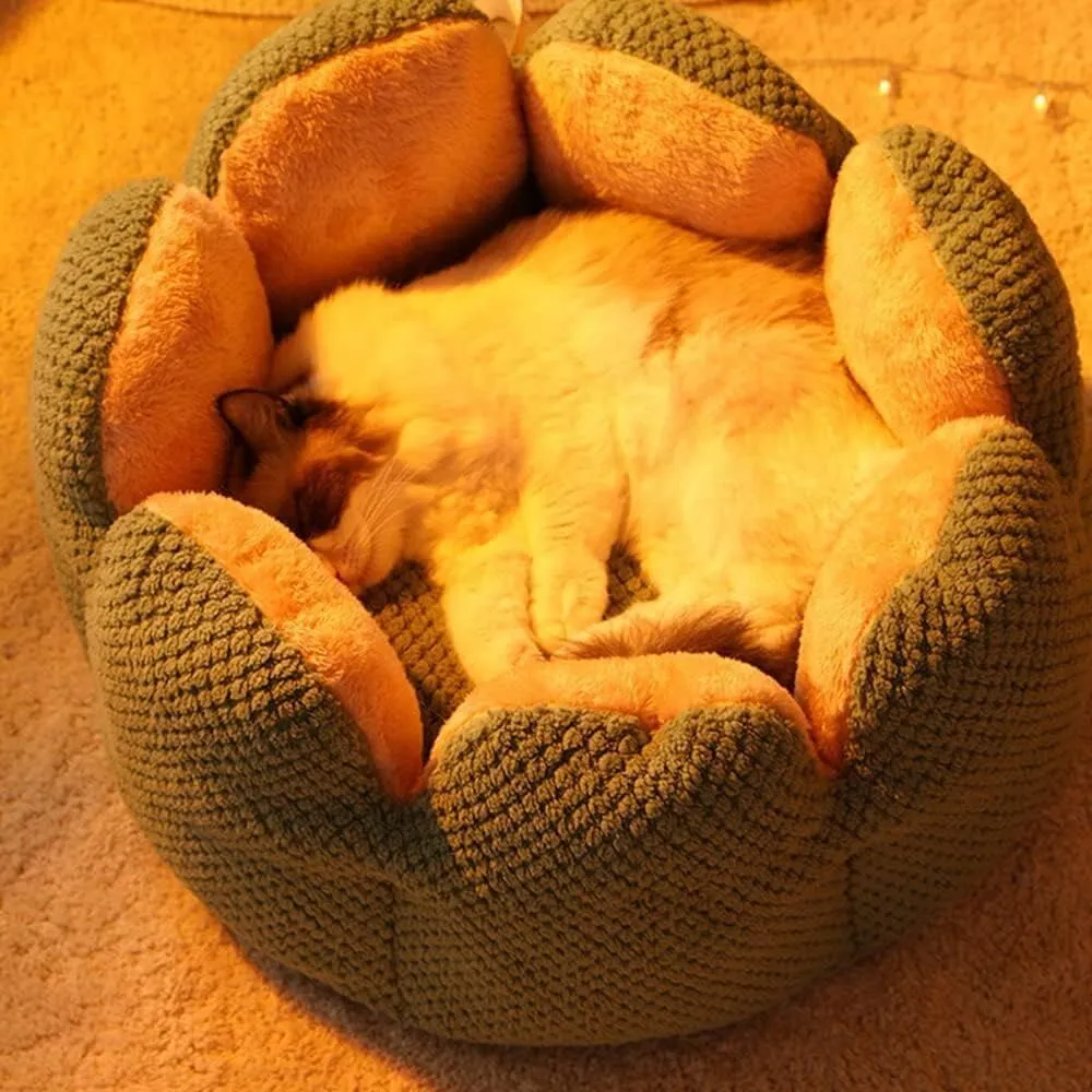 Cactus Shape Comfy Pet Bed - Pet Cactus Petal Nest, Summer Breathable Fluffy Thickened Cat Nest, Washable Fluffy Faux Fur Dog Cat Bed (23.62 in, Green)