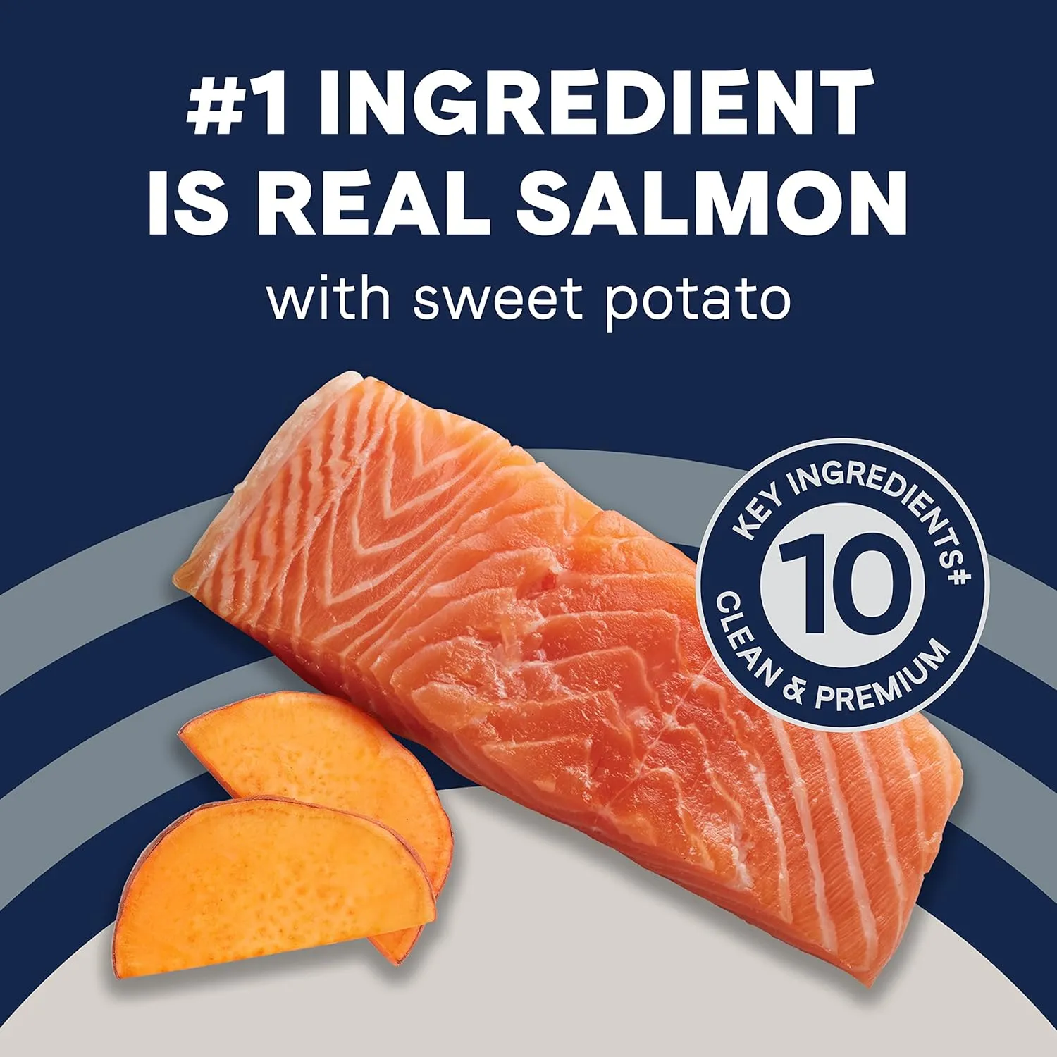 Canidae Pure Limited Ingredient Premium Adult Dry Dog Food, Real Salmon & Sweet Potato Recipe, 12 lbs, Grain Free