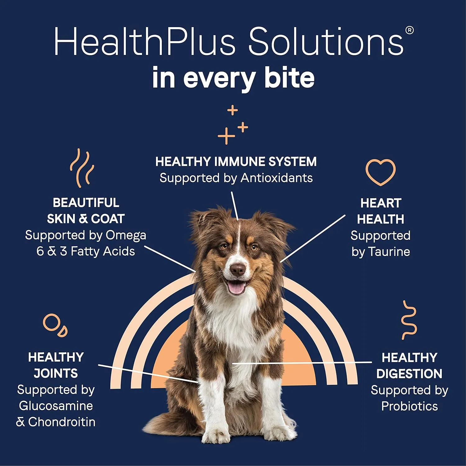 Canidae Pure Limited Ingredient Premium Adult Dry Dog Food, Real Salmon & Sweet Potato Recipe, 12 lbs, Grain Free