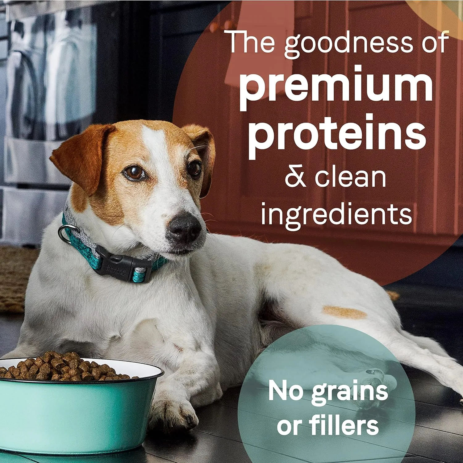 Canidae Pure Limited Ingredient Premium Adult Dry Dog Food, Real Salmon & Sweet Potato Recipe, 12 lbs, Grain Free