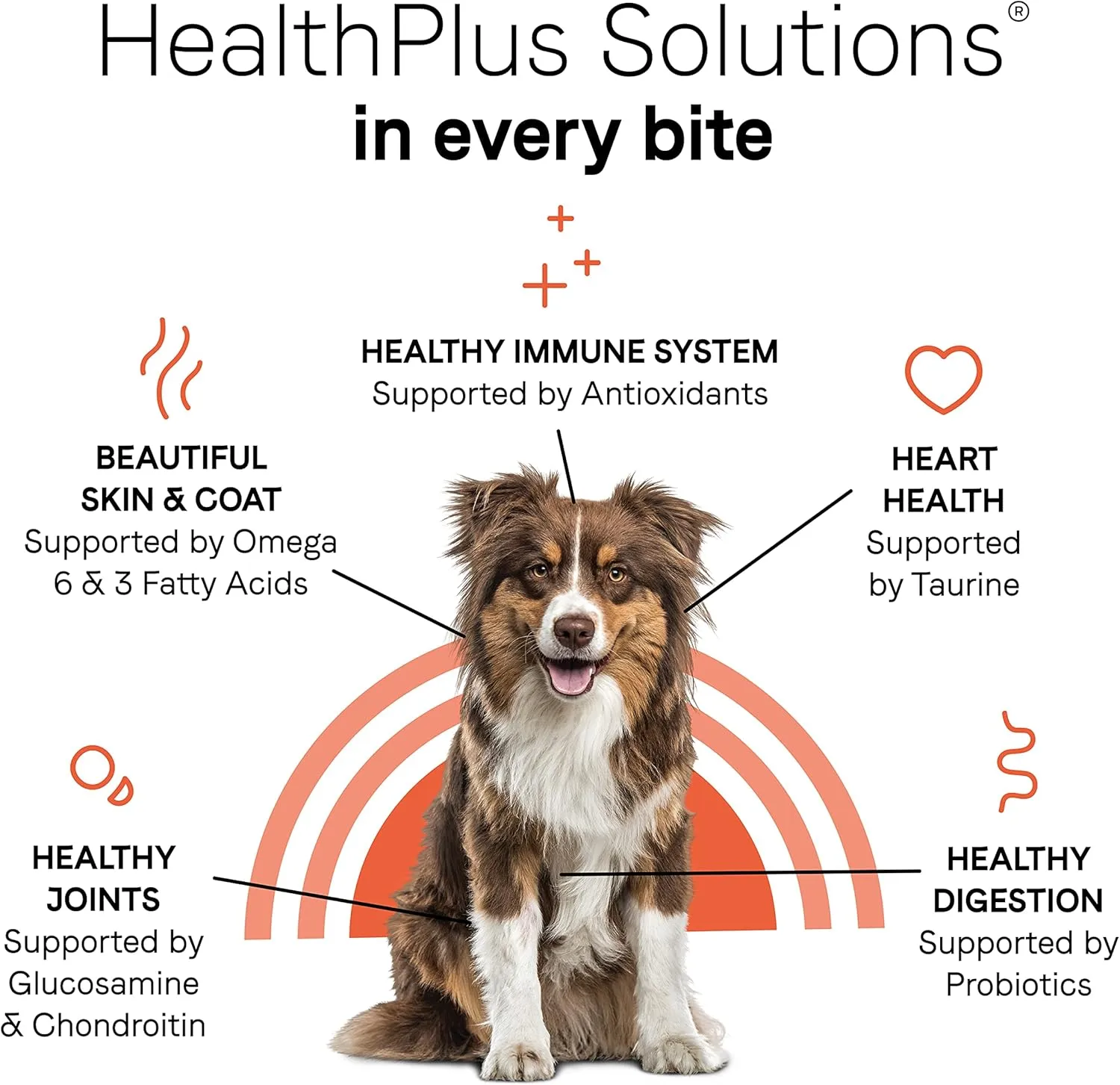 Canidae Under the Sun Premium Dry Dog Food For Puppies, Adults and Senior Dogs, Chicken Recipe, 40 Pounds, Grain Free
