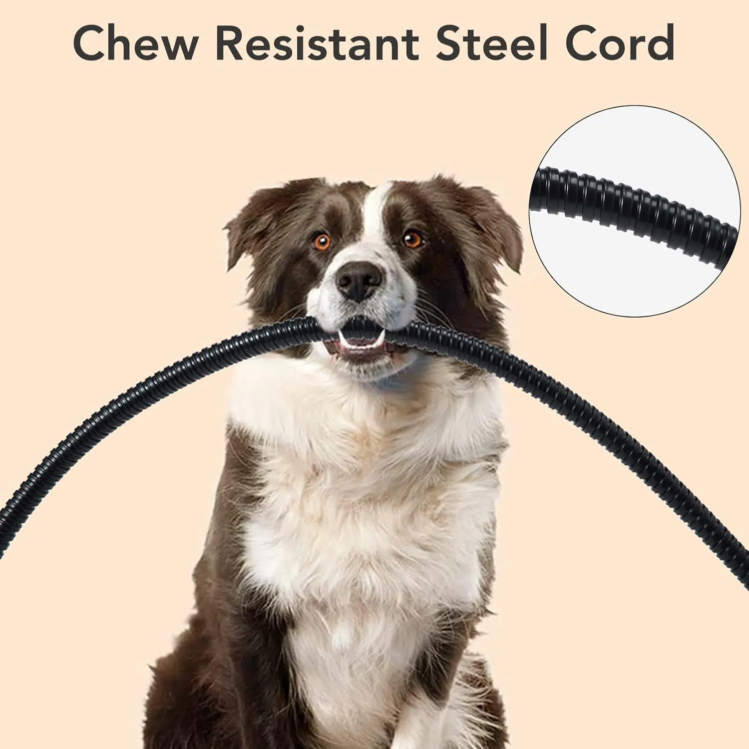 CAROMIO Pet Heating Pad, Faster Heating Electric Pads with Chew Resistant Cord Cat Heated Bed Pad, 6 Adjustable Temperature & 5 Timer Indoor Warming Heated Mat Safe for Dogs Cats- 28 x 16 Inch
