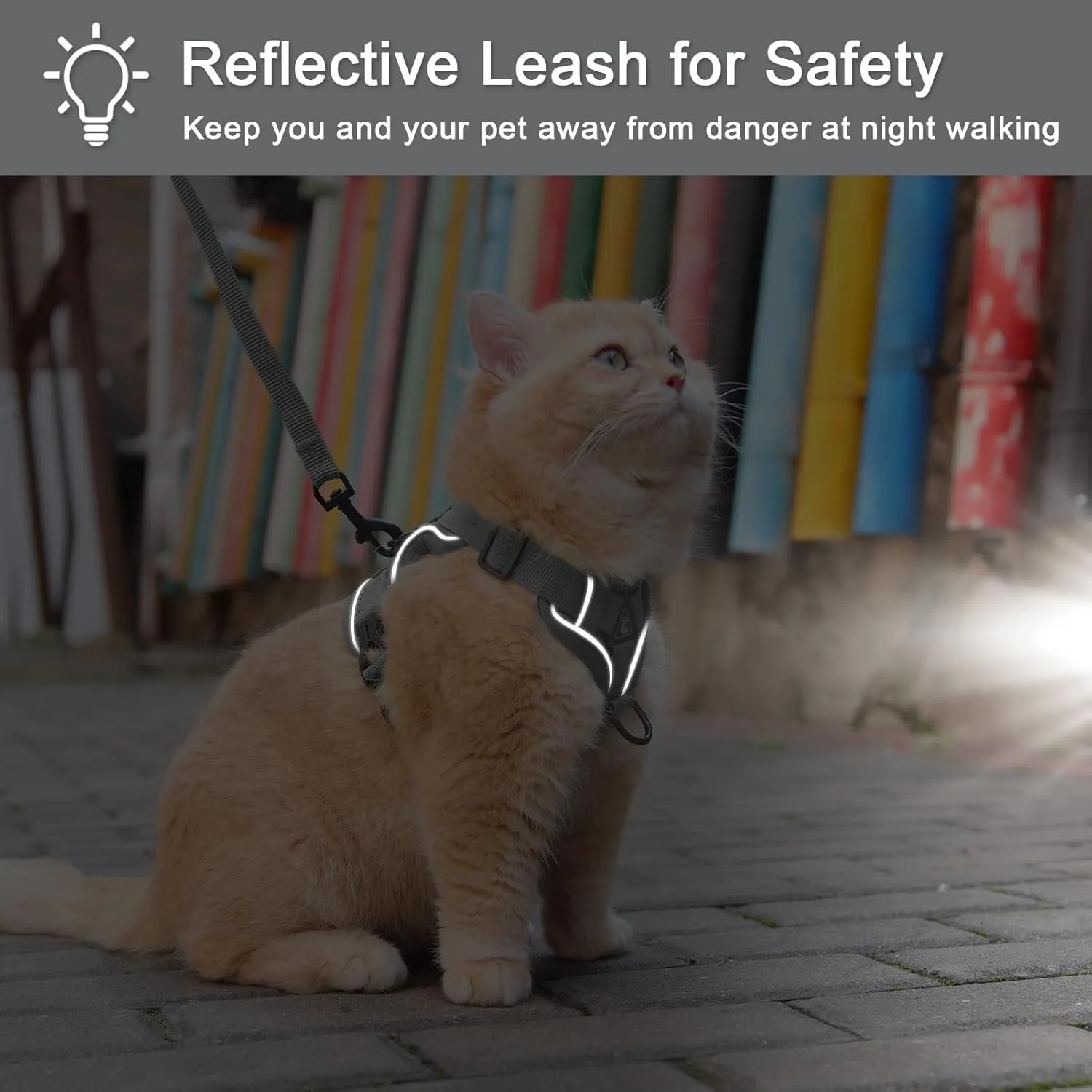 Cat Harness and Leash Set Escape Proof, Adjustable Vest with Lead for Large Cat Small Dog Puppy Outdoor Walking, Soft Breathable Mesh Jacket with Reflective Strips for Dark Night, L Gray