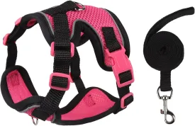 Cat Harness and Leash Set for Walking  Escape-Proof Reflective Vest for Cats and Small Dogs, Adjustable Soft Air Mesh with Pressure-Reducing Design, 4.92ft, M, RSE & Black