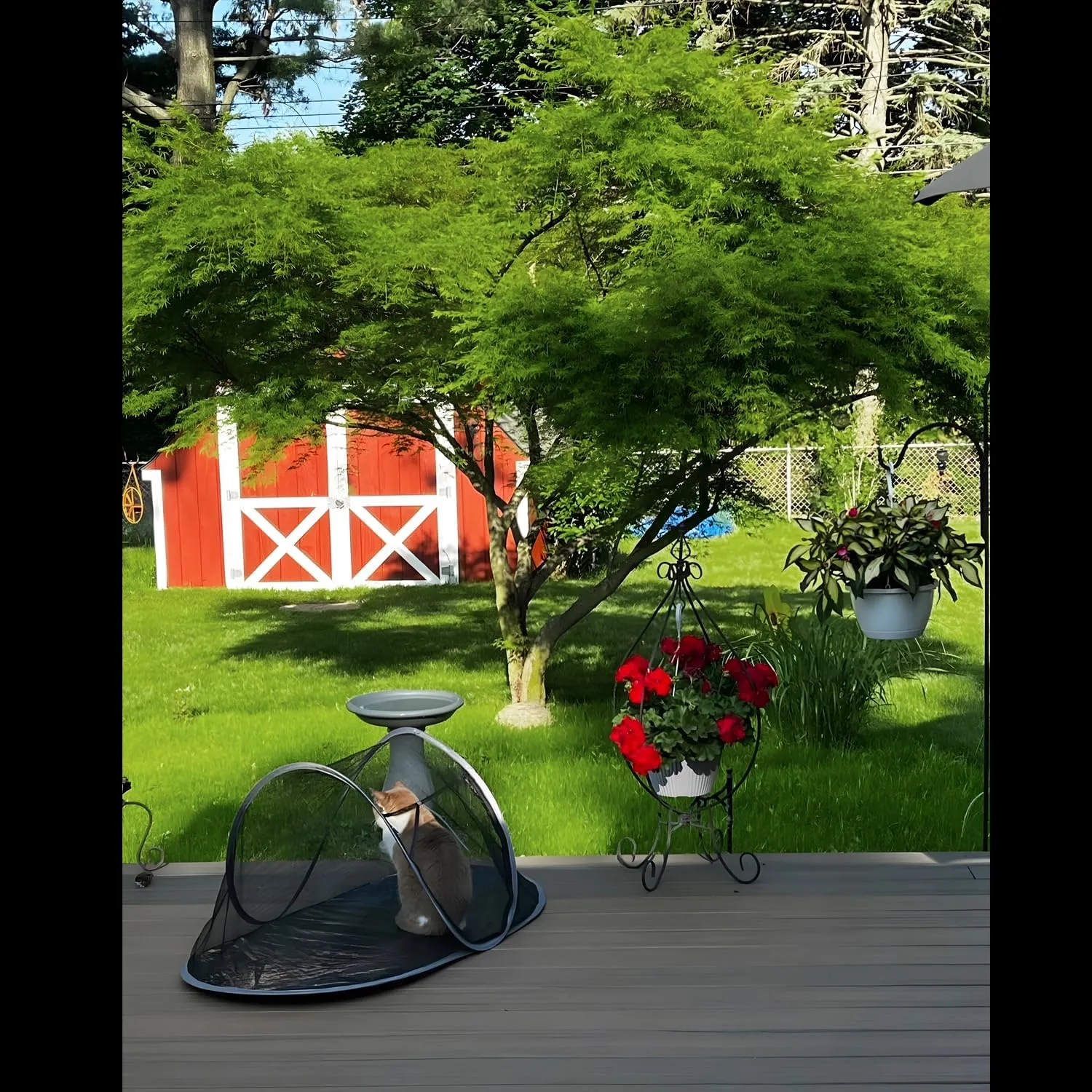 Cat Tent Outdoor, Pet Enclosure Tent Suitable for Cats and Small Animals, Indoor Playpen Portable Exercise Tent with Carry Bag(Dark Green)