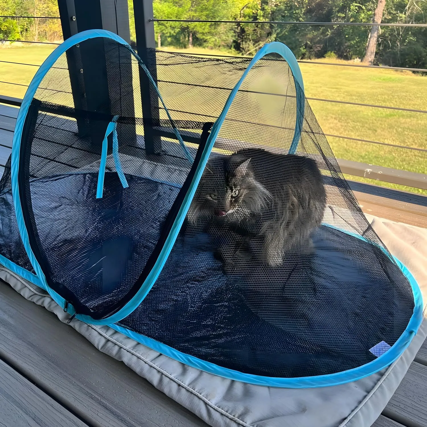 Cat Tent Outdoor, Pet Enclosure Tent Suitable for Cats and Small Animals, Indoor Playpen Portable Exercise Tent with Carry Bag(Dark Green)