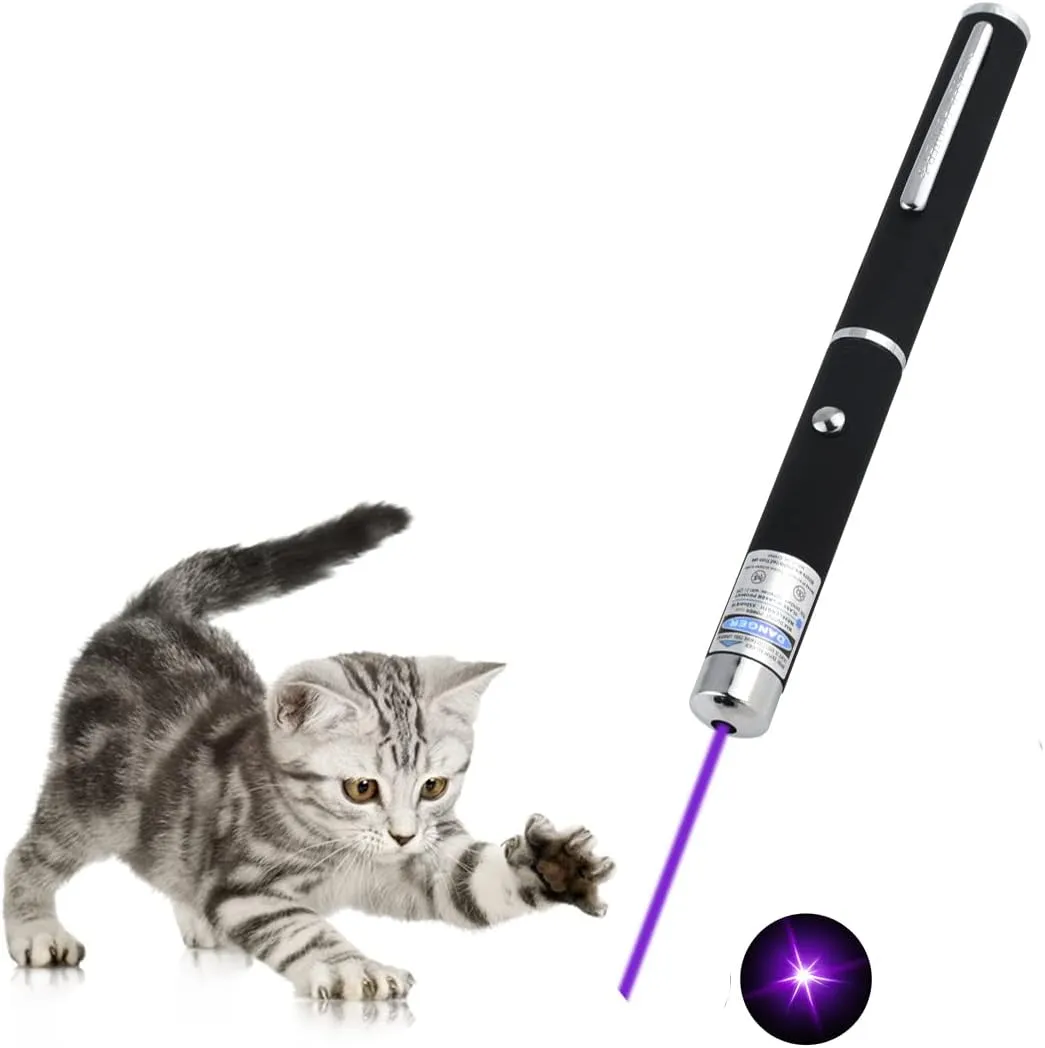 Cat Toys Purple Remotes for Indoor Classroom Interactive Teaching (Purple, Without Battery 1 Pack)