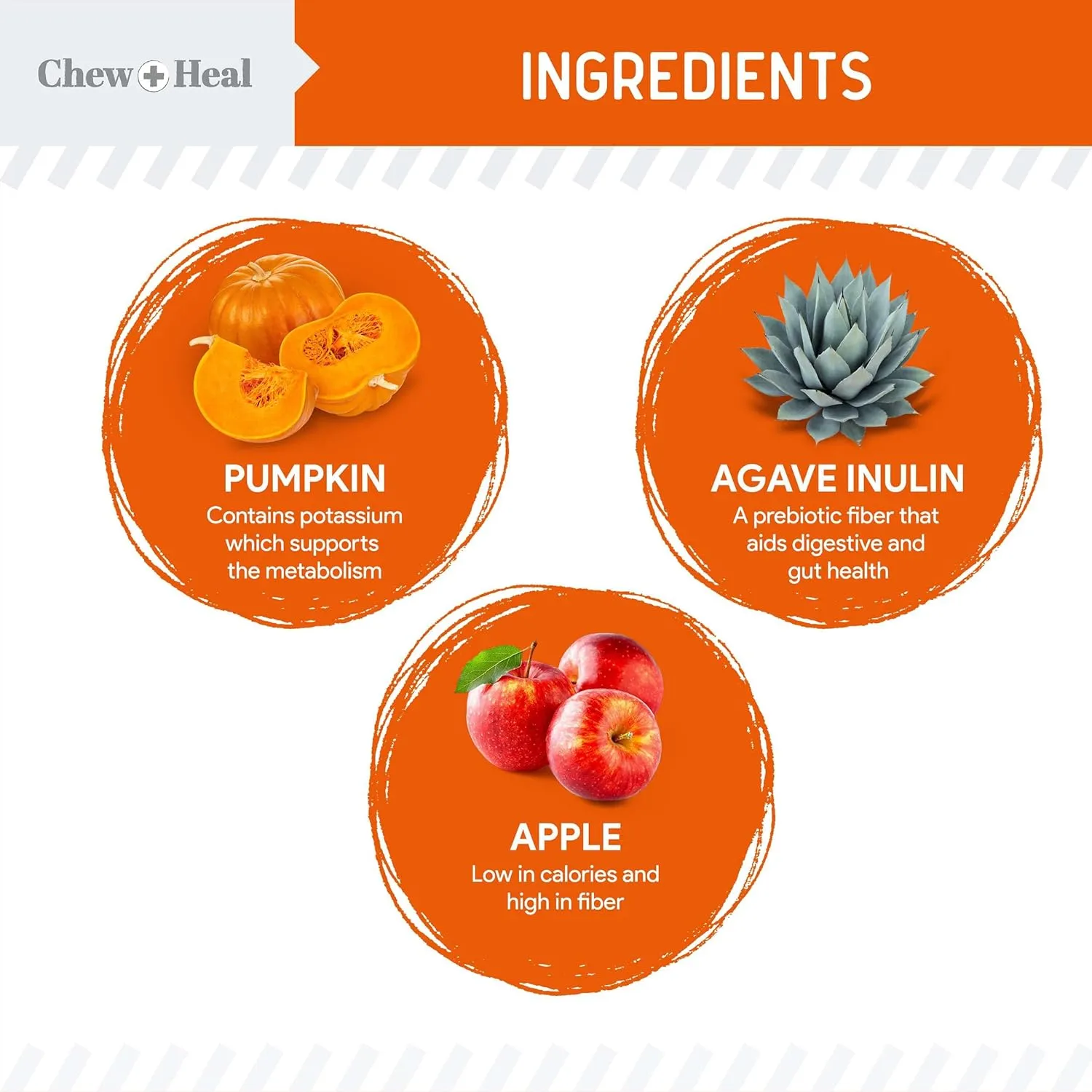 Chew   Heal Labs Crunchy Biscuits for Dogs - 5 oz of Healthy Dog Treats for Medium, Small, and Large Dog Breeds - Made with Pumpkin, Prebiotics, Agave Inulin, and More - Made in The USA