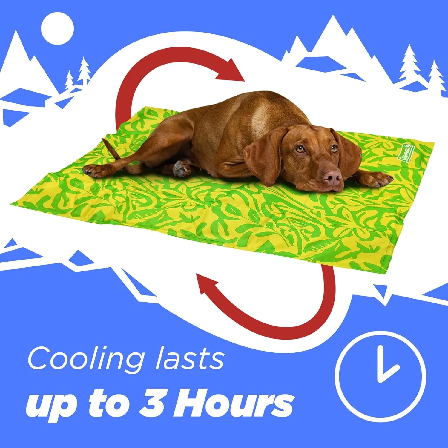 Coleman Small Green Botanical Pattern Reversible Cooling Mat  18 x 24