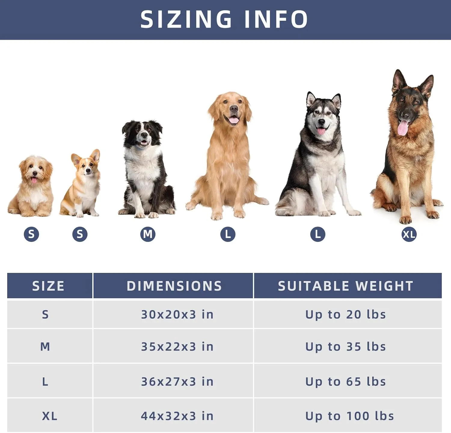 DaysU Large Dog Bed for Large Dogs, Orthopedic Dog Beds with Removable Washable Cover, Egg Crate Foam Pet Bed Mat, Dark Grey, Suitable for Dogs Up to 65 Ibs, 36x27x3in