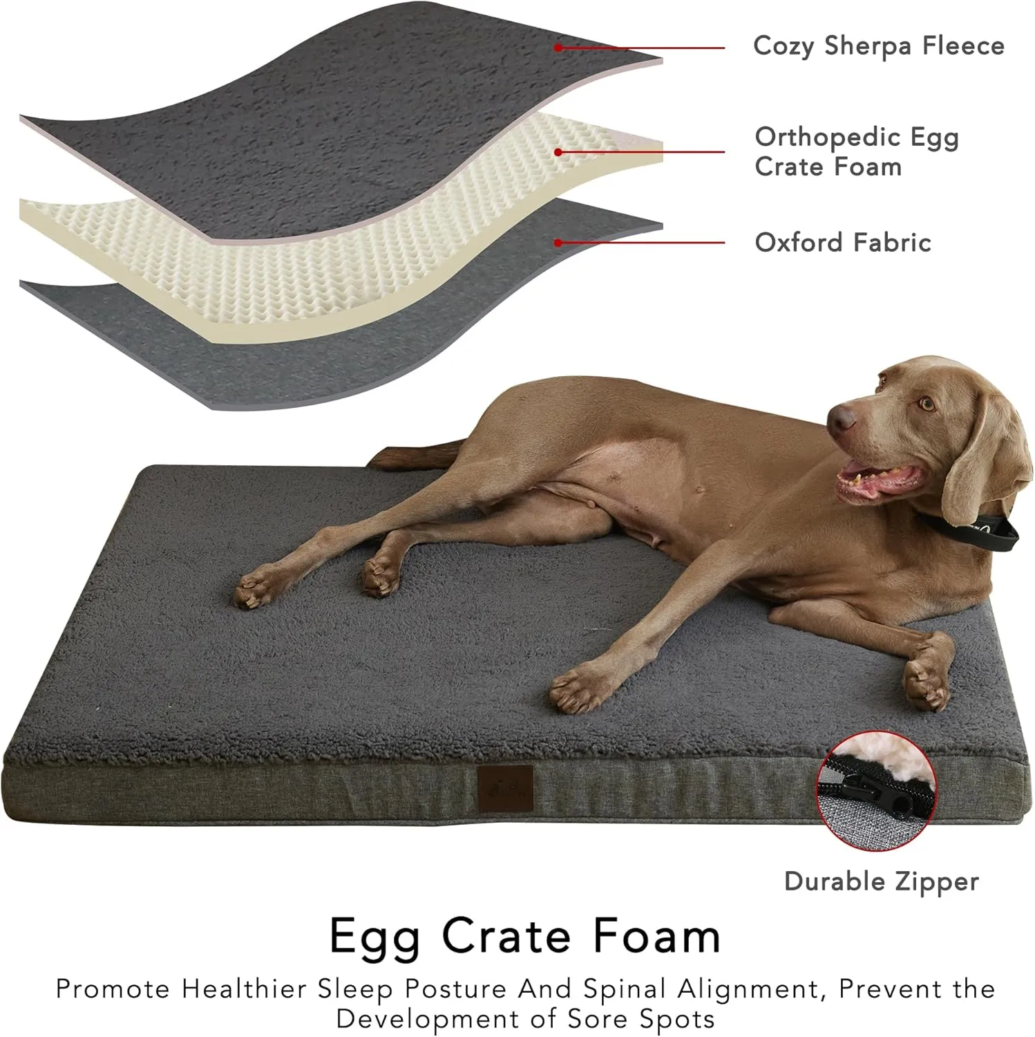 DaysU Large Dog Bed for Large Dogs, Orthopedic Dog Beds with Removable Washable Cover, Egg Crate Foam Pet Bed Mat, Dark Grey, Suitable for Dogs Up to 65 Ibs, 36x27x3in