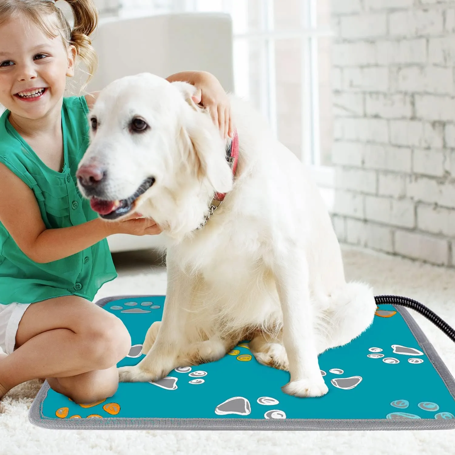 furrybaby Pet Heating Pad, Waterproof Dog Heating Pad Mat for Cat with 5 Level Timer and Temperature, Durable Anti-Bite Tube Indoor for Puppy Dog Cat (Green Paw, 24" X 16")