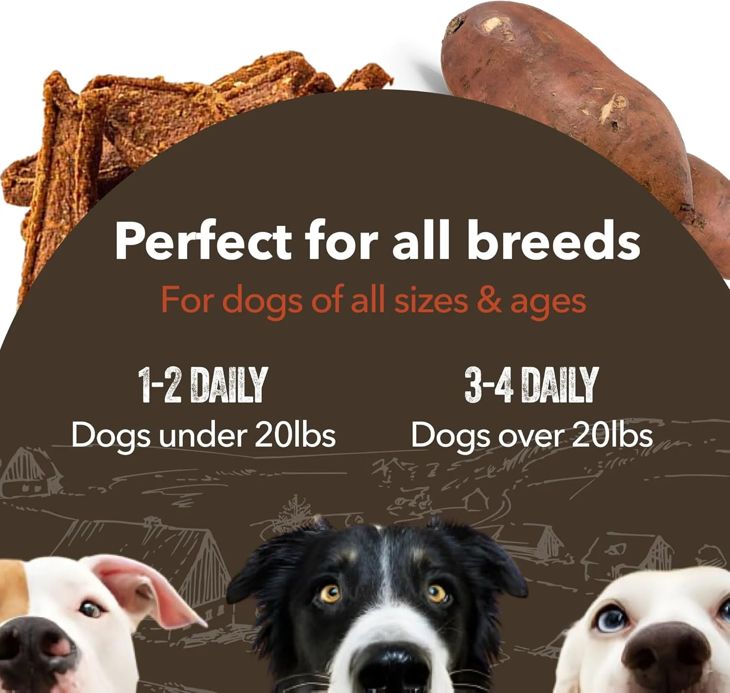 Gaines Family Farmstead Salmon & Sweet Potato Fillets for Dogs, All-Natural, Grain-Free, Healthy Dog Treats for All Ages & Breeds, Made in USA, 8 oz Pouch