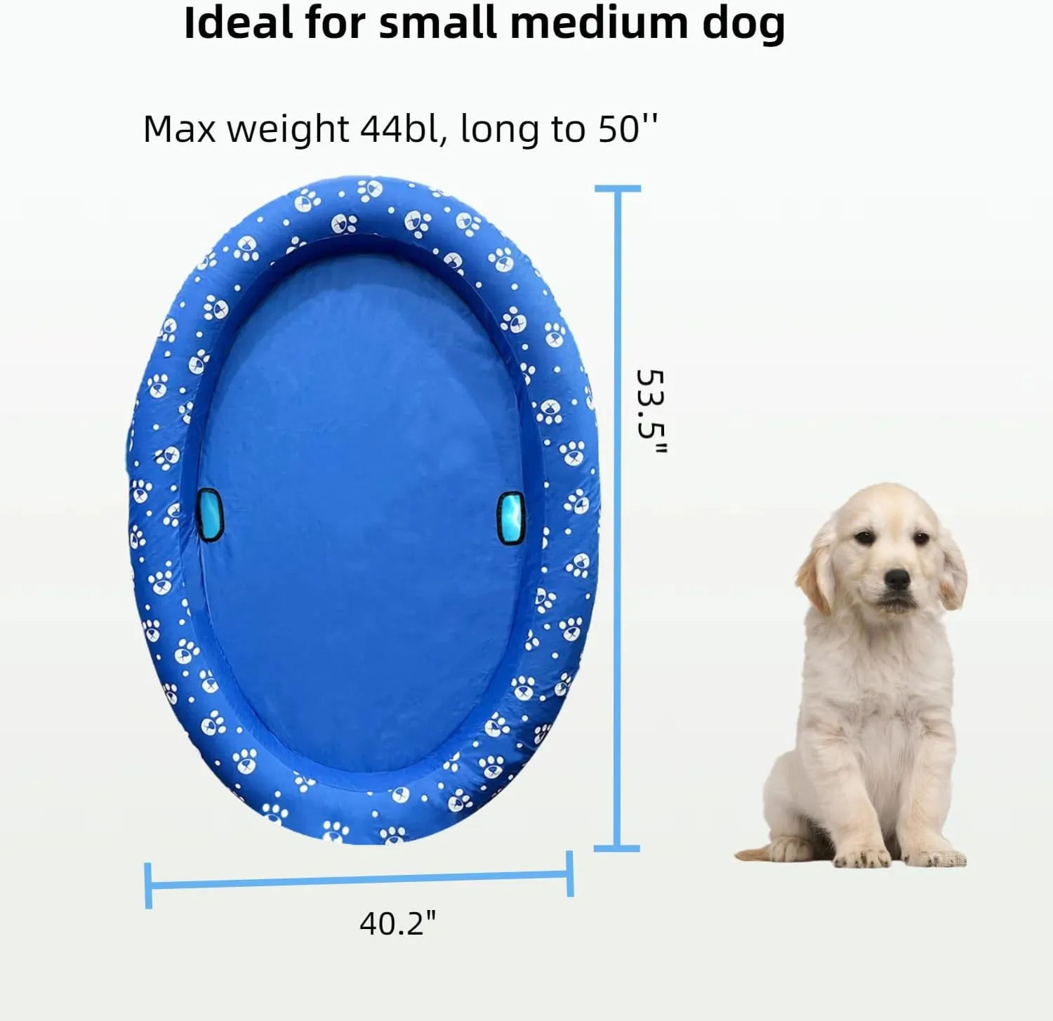 Ginkago Inflatable Pool Float for Adult Dogs and Puppies, Large Contemporary Modern Blue Pet Dog Swimming Pool Float Ride on Bathing