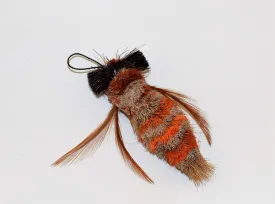 GoCat Da Dragonfly