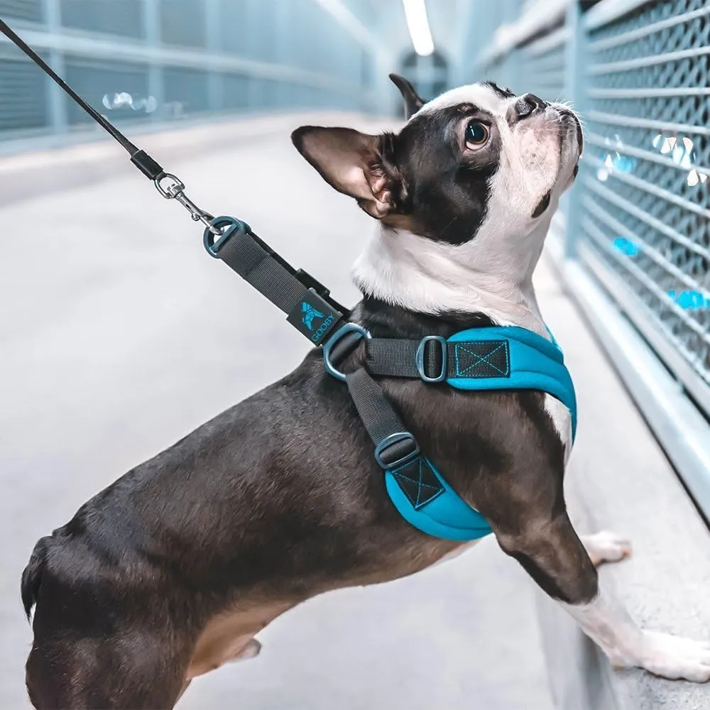 Gooby Escape Free Sport Harness - Black, Small - No Choke Step-in Patented Neoprene Dog Harness with Four-Point Adjustment for Small to Medium Dogs