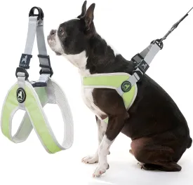 Gooby Simple Step in III Harness - Green, Small - Small Dog Harness with Scratch Resistant Outer Vest - Soft Inner Mesh Harness for Small, Medium Dogs