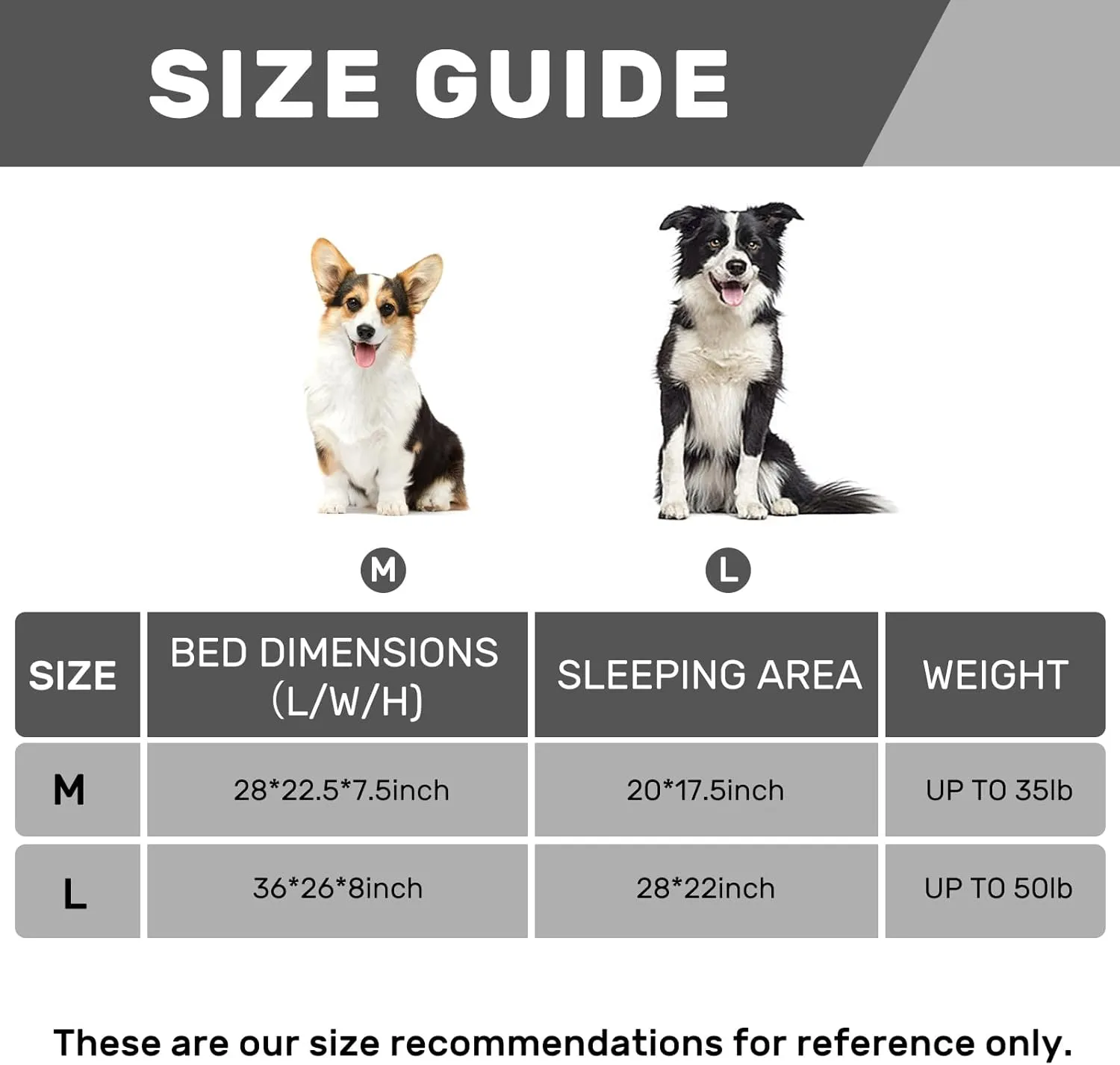 Hollypet Orthopedic Dog Bed for Large Dogs, Supportive Foam Pet Couch with Removable Washable Cover and Non-Slip Bottom, Waterproof Lining Dog Sofa Bed, Blue, L (36 * 26 * 8)