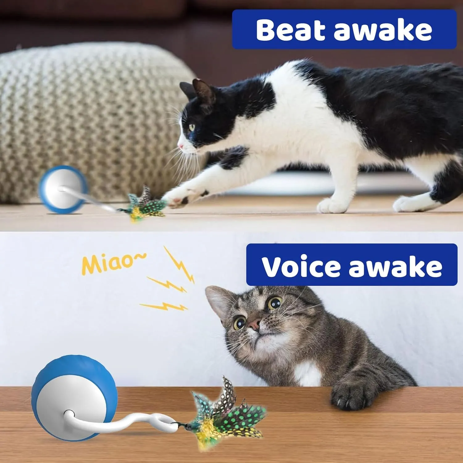 Interactive Cat Toys for Indoor Cats, DIY 5 in 1 Automatic Moving Cat Ball Toys/Puppies Toys with LED Rainbow Lights, Smart Sounds&Touch Control Cat Toys,USB Rechargeable (Blue)