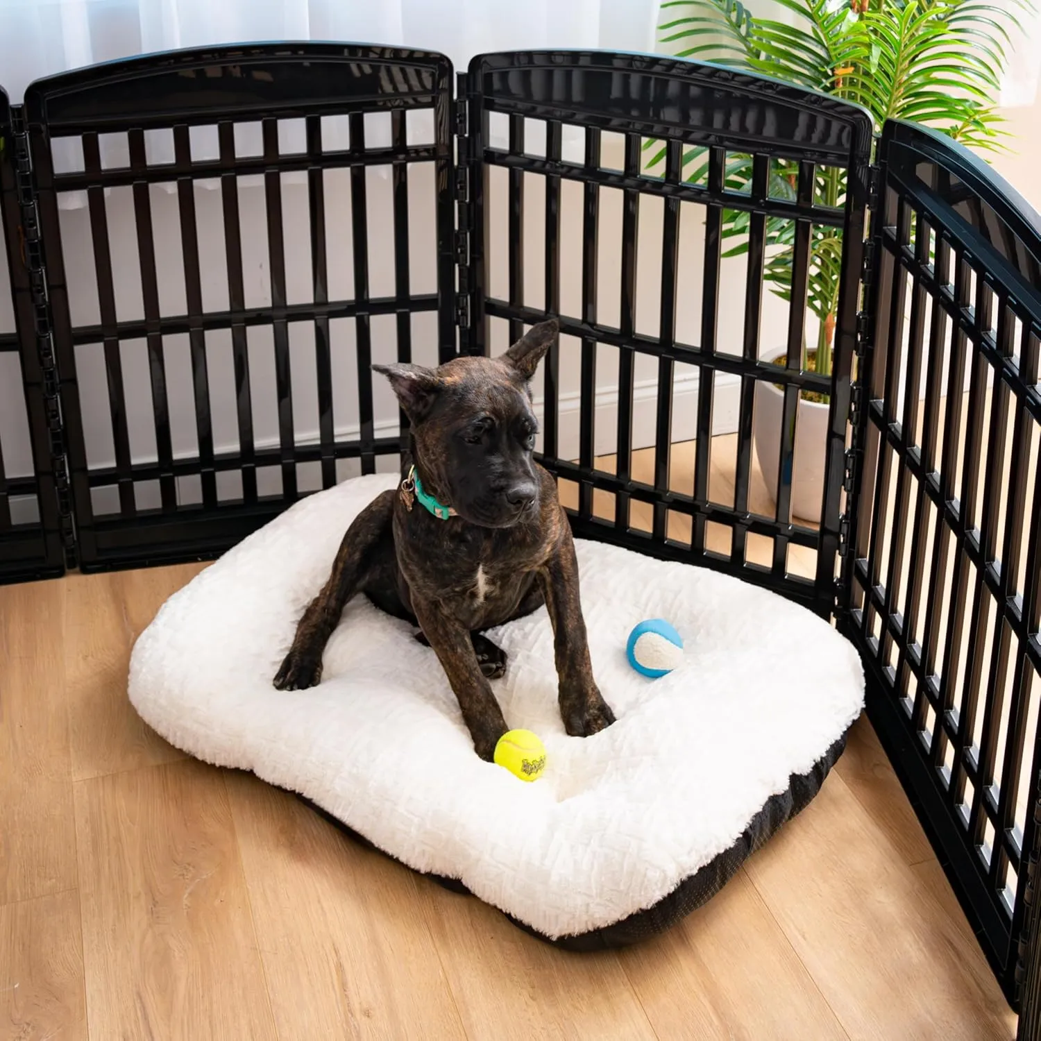 IRIS USA 35" 10-Panel Pet Dog Puppy Playpen with Door, Small, Medium, and Large Dogs, Keep Pets Secure, Easy Assembly & Storying, Customizable, Black
