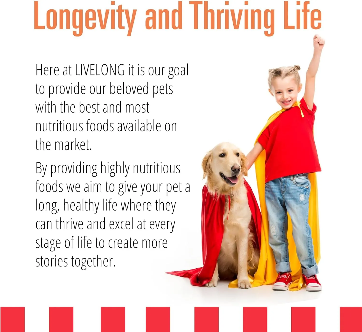 Livelong Healthy & Strong: 12 Pack: Salmon & Sweet Potato Recipe - 12.5oz Cans, Wet Dog Food, High Protein, All Natural, No Preservatives, USA Made