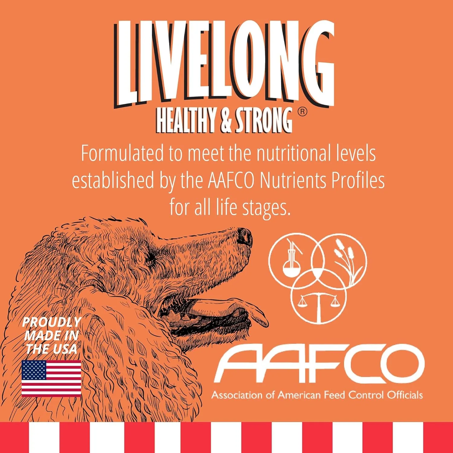 Livelong Healthy & Strong: 12 Pack: Salmon & Sweet Potato Recipe - 12.5oz Cans, Wet Dog Food, High Protein, All Natural, No Preservatives, USA Made