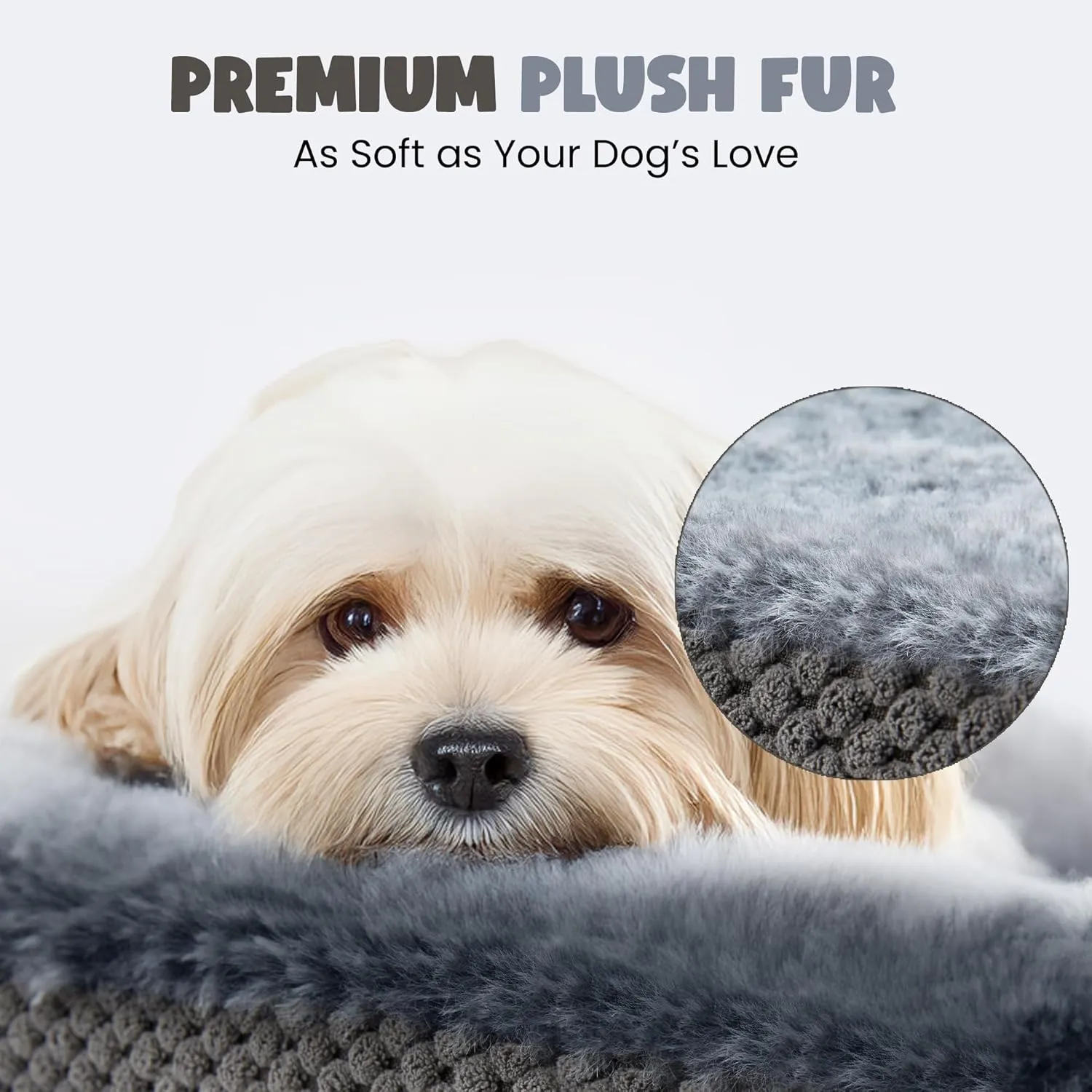 Medium Dog Bed with Egg Crate Memory Foam, 28" Pet Sofa Bed with Sides and Washable Removable Cover, Cute Cozy Cat Bed and Couch with Non Slip Bottom, 28 x 21x 7 inch