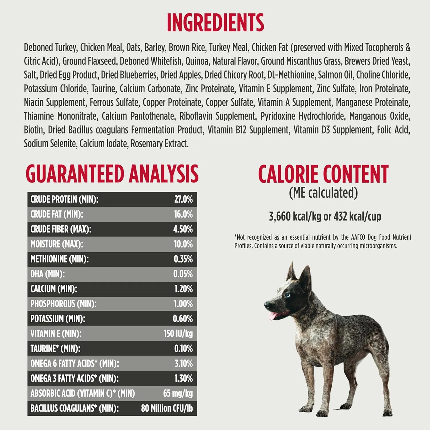 Nulo Frontrunner Ancient Grains High-Protein Small Breed Dog Food, Turkey, Whitefish, & Quinoa Recipe- Natural Dry Dog Food with Probiotics, Grain-Inclusive Kibble for Adults & Puppies, 5 lb Bag
