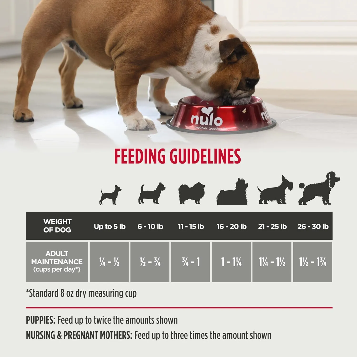 Nulo Frontrunner Ancient Grains High-Protein Small Breed Dog Food, Turkey, Whitefish, & Quinoa Recipe- Natural Dry Dog Food with Probiotics, Grain-Inclusive Kibble for Adults & Puppies, 5 lb Bag
