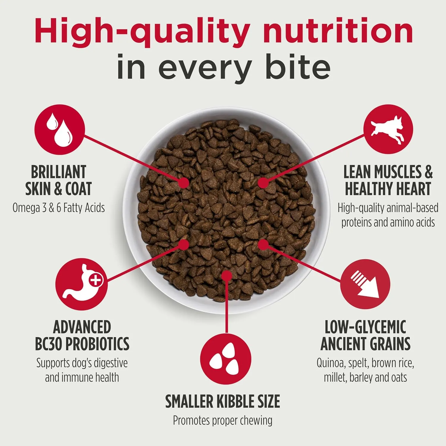 Nulo Frontrunner Ancient Grains High-Protein Small Breed Dog Food, Turkey, Whitefish, & Quinoa Recipe- Natural Dry Dog Food with Probiotics, Grain-Inclusive Kibble for Adults & Puppies, 5 lb Bag