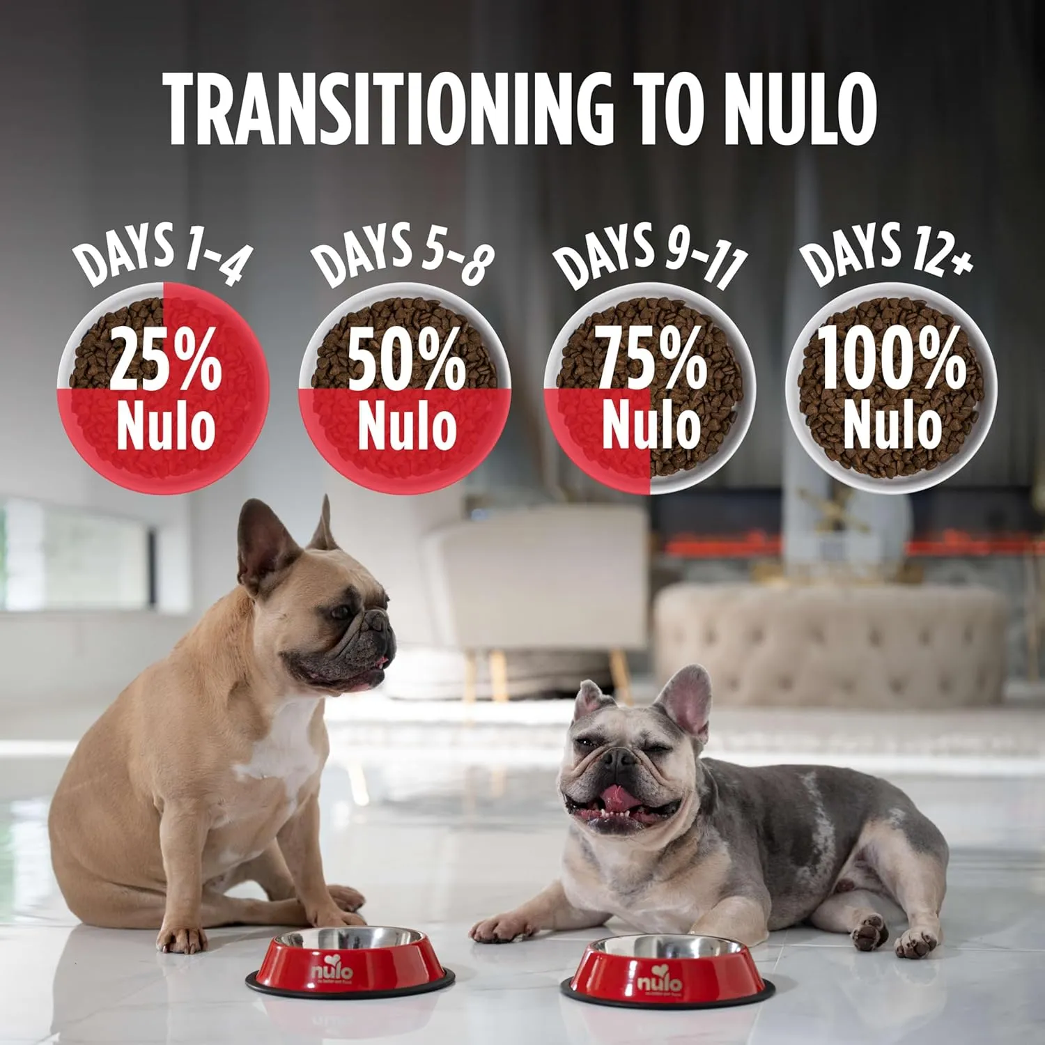 Nulo Frontrunner Ancient Grains High-Protein Small Breed Dog Food, Turkey, Whitefish, & Quinoa Recipe- Natural Dry Dog Food with Probiotics, Grain-Inclusive Kibble for Adults & Puppies, 5 lb Bag