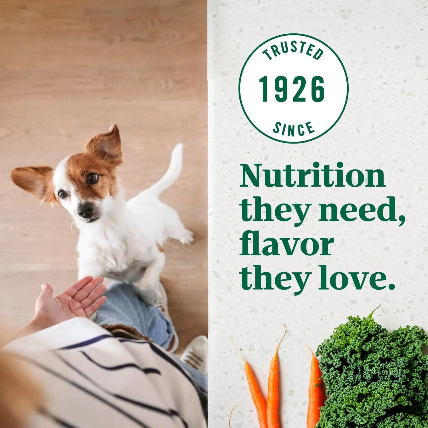 Nutro Ultra Adult Small Breed Dry Dog Food, Chicken, Lamb and Salmon Protein Trio, 12 lb. Bag