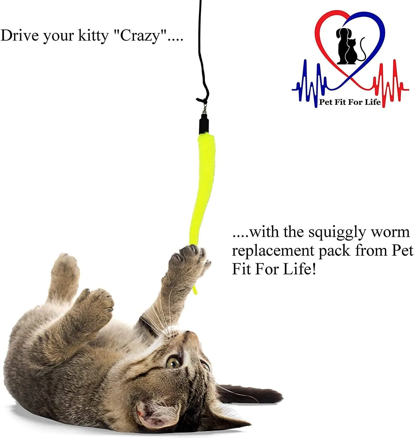 Pet Fit For Life - 5 Piece Kitten Toy Refill Pack - Replacement for Indoor Cat's Interactive Wand and Catch Wand - Features 5 Assorted Soft Squiggly Worm Attachments