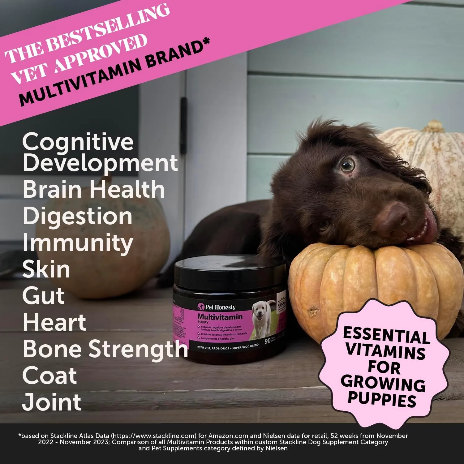 Pet Honesty Multivitamin Puppy Treats - Essential Dog Supplements & Vitamins for Learning and Cognitive Development- Probiotics, Omega Fish Oil for Health, Heart & Immunity - Dog Health Supplies