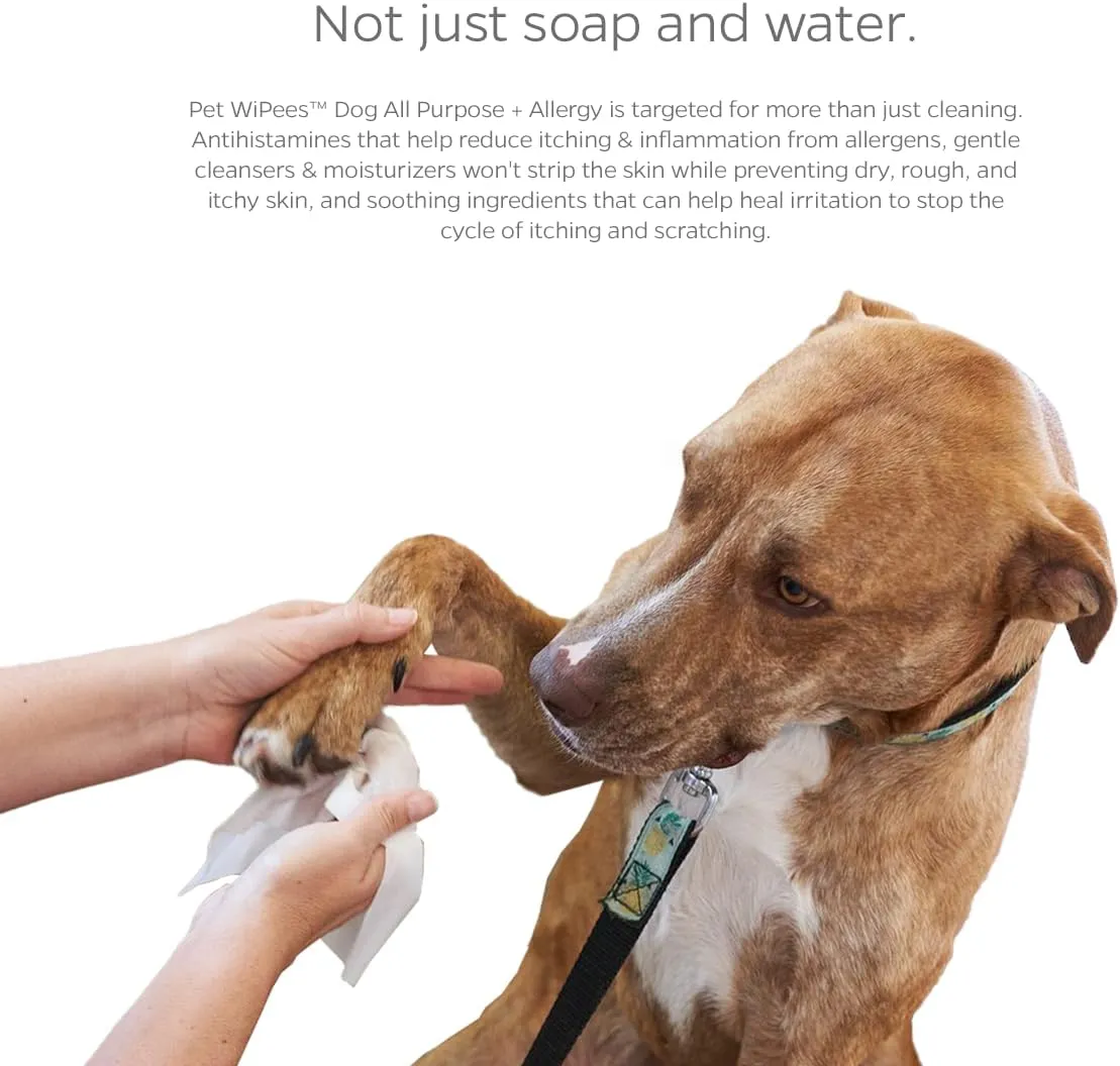 Pet Parents Pet WiPees Dog All Purpose   Allergy Dog Wipes, Pet Wipes for Dogs, Puppy Wipes & Paw Wipes, Large Dog Wipes (100 Count (Pack of 1), Calming)