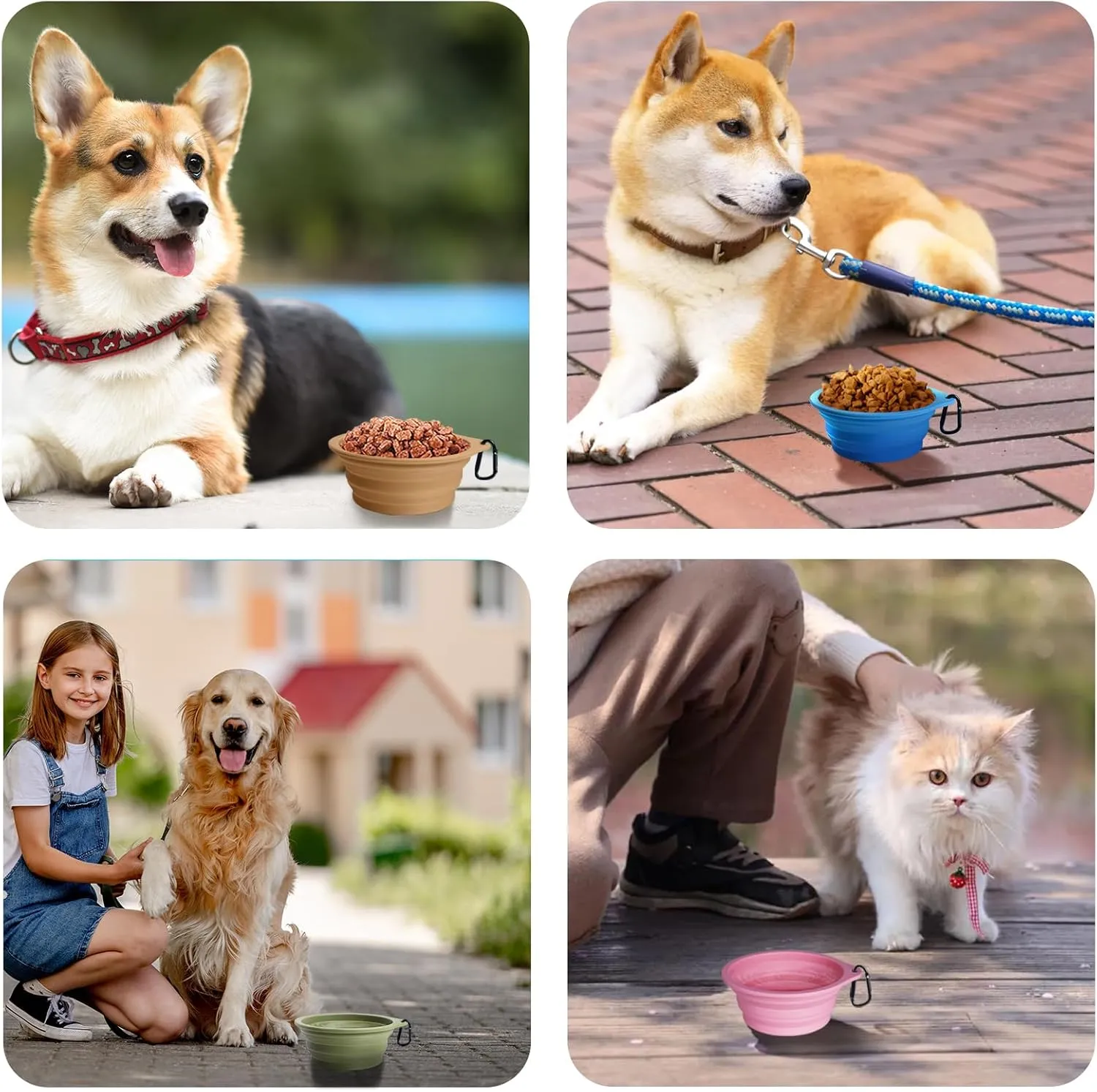 PetBonus 2-Pack Silicone Collapsible Dog Bowls, BPA Free Dishwasher Safe, Portable Foldable Expandable Travel Bowl, Food Water Feeding Cup Dish for Dogs Cats with 2 Carabiners (Turquoise, Tan)