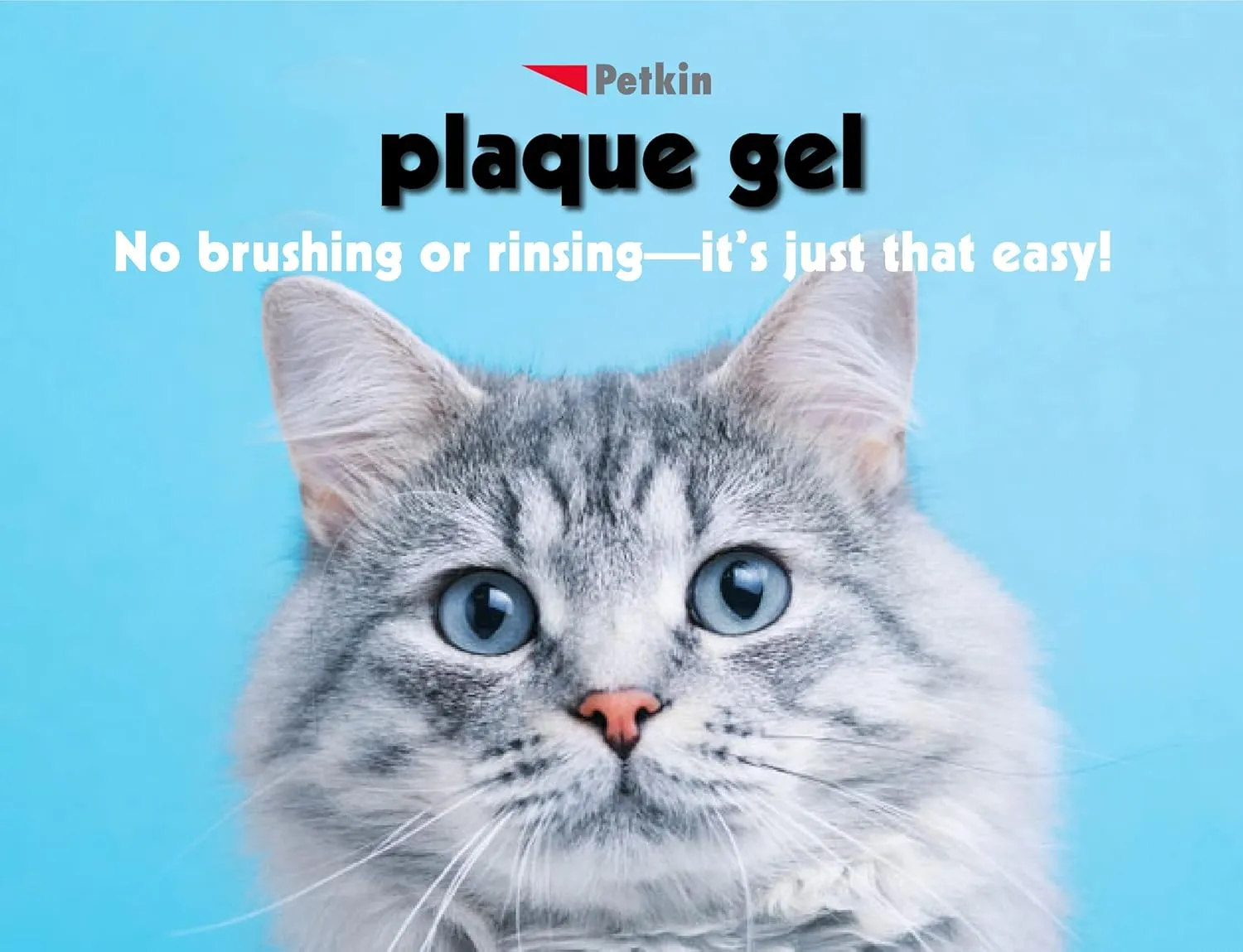 Petkin Plaque Remover Gel  Cleans Teeth and Gums, Removes Plaque and Tartar - Freshens Breath and Whitens Teeth with Baking Soda - Ideal for Daily Use, No Brushing or Rinsing - 4fl oz (2pk)