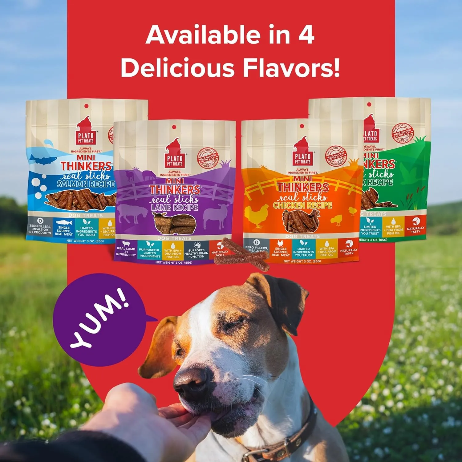 Plato Pet Treats Thinkers - Meat Stick Treats for Dogs - Limited Ingredient Dog Treats with EPA and DHA to Support Skin, Coat, and Brain - Air-Dried Dog Treats - Mini Thinkers Lamb 6oz