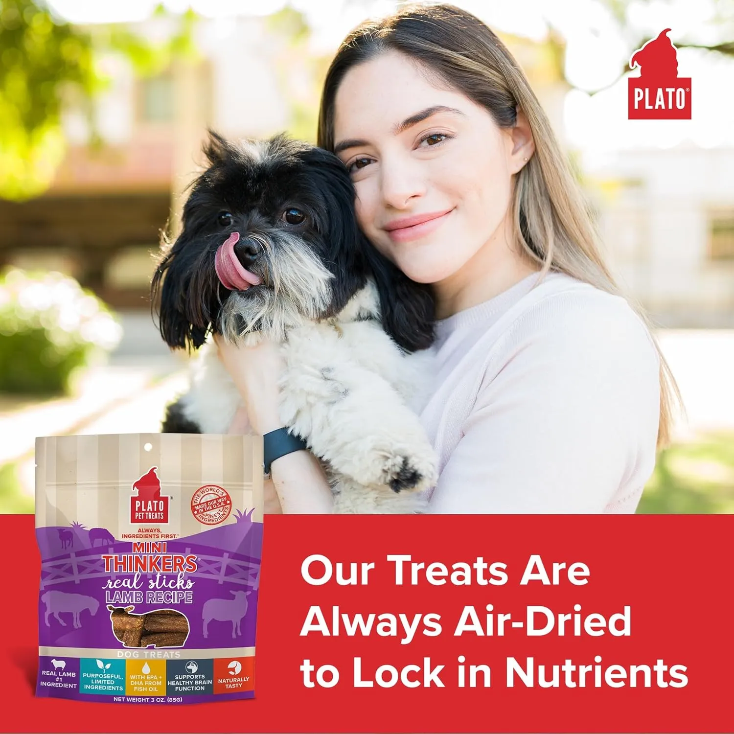 Plato Pet Treats Thinkers - Meat Stick Treats for Dogs - Limited Ingredient Dog Treats with EPA and DHA to Support Skin, Coat, and Brain - Air-Dried Dog Treats - Mini Thinkers Lamb 6oz