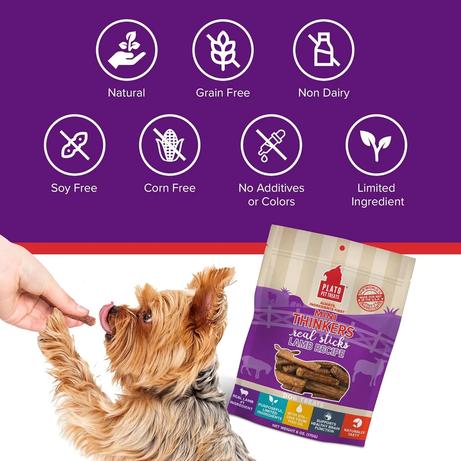 Plato Pet Treats Thinkers - Meat Stick Treats for Dogs - Limited Ingredient Dog Treats with EPA and DHA to Support Skin, Coat, and Brain - Air-Dried Dog Treats - Mini Thinkers Lamb 6oz
