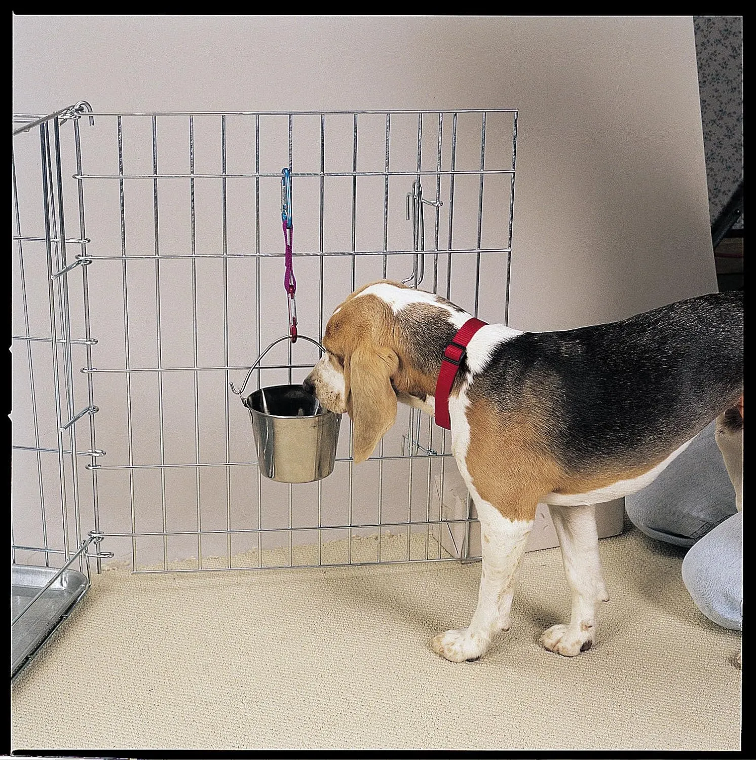 Pro Select Stainless Steel Pet Pail, 1-Quart Size  Heavy Duty Flat Sided Pail Great for Providing Water in Pet Kennels
