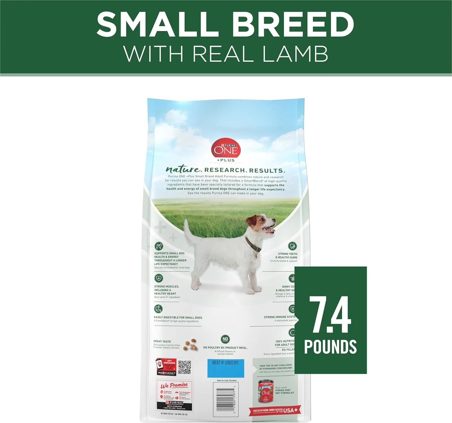 Purina ONE Plus Small Breed Lamb and Rice Formula Dry Dog Food - 7.4 lb. Bag